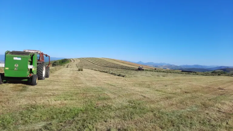 Tractor y trabajo terreno