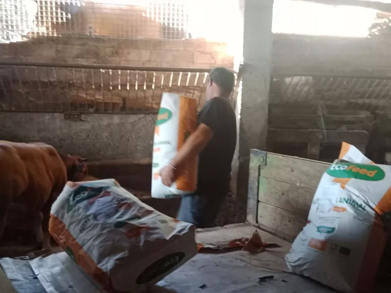 Hombre cargando alimento para ganado y bolsas sobre madera