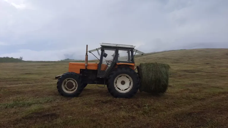 Tractor y campo